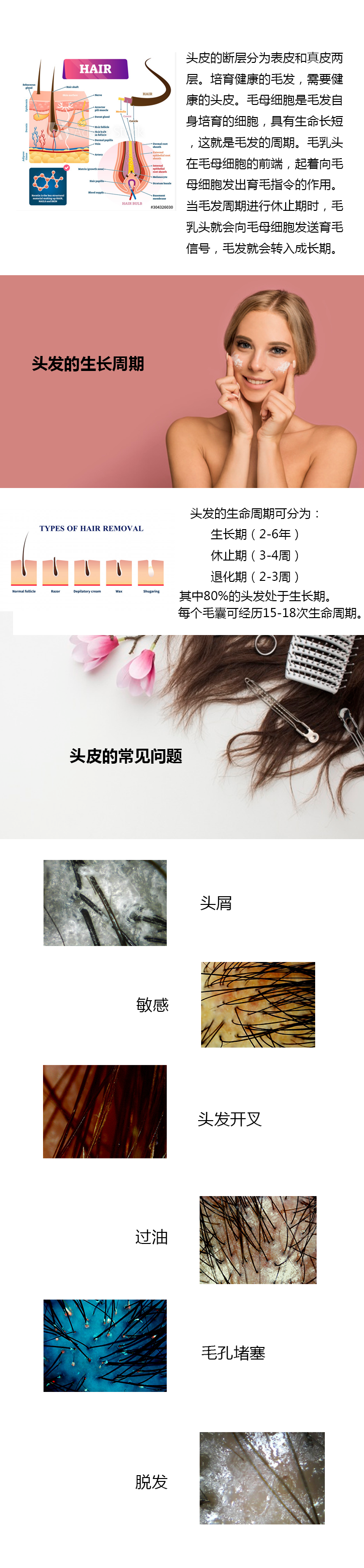 头发基础知识详情.png